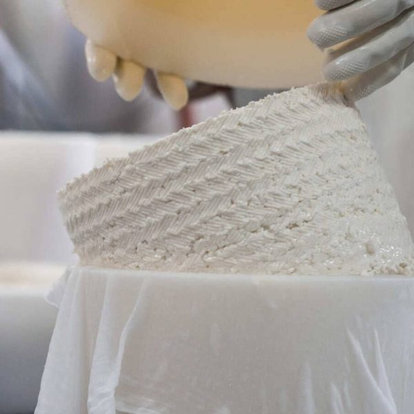 JM-FOTOS_15072014-ZG8W07510751